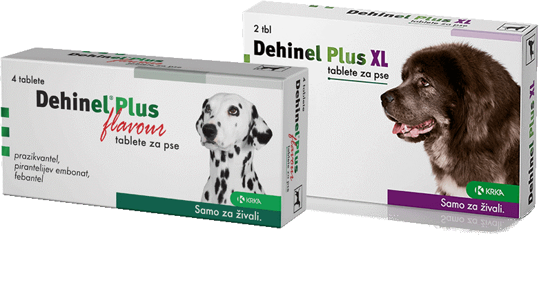 Dehinel plus